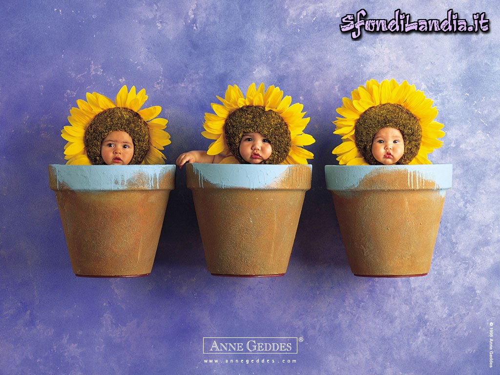 AnneGeddes04.jpg