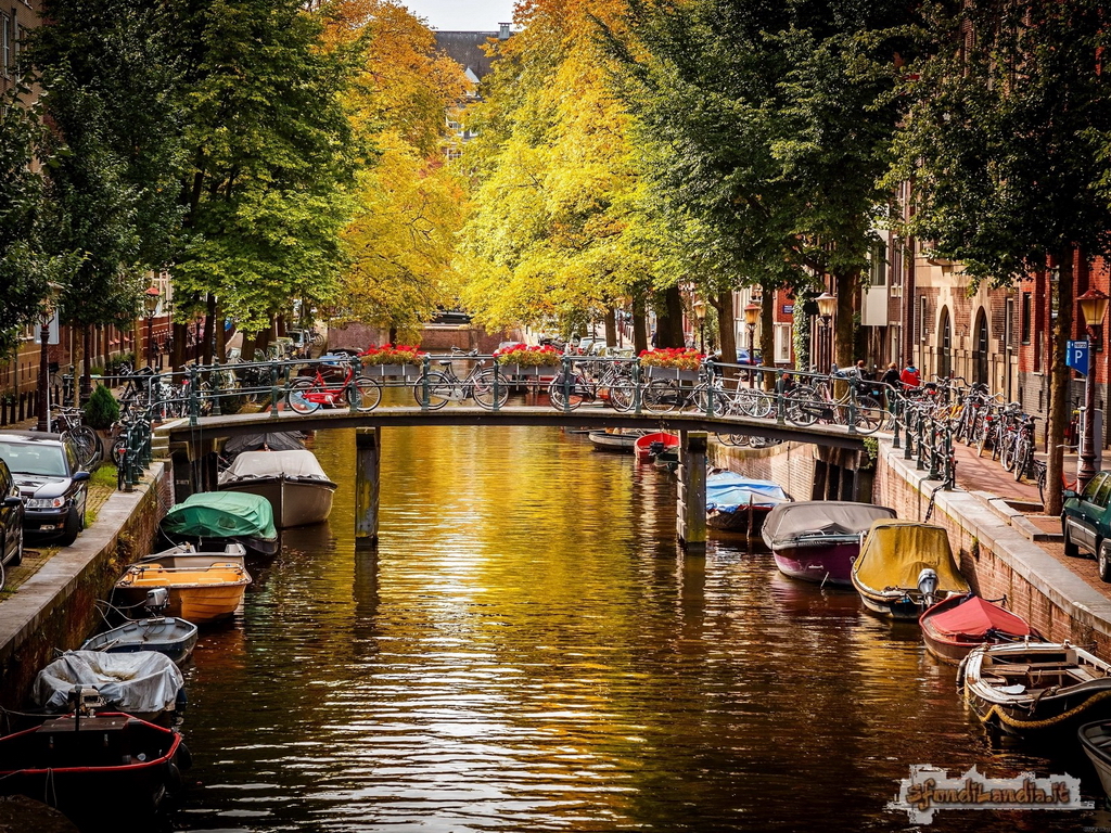 Autumn In Amsterdam