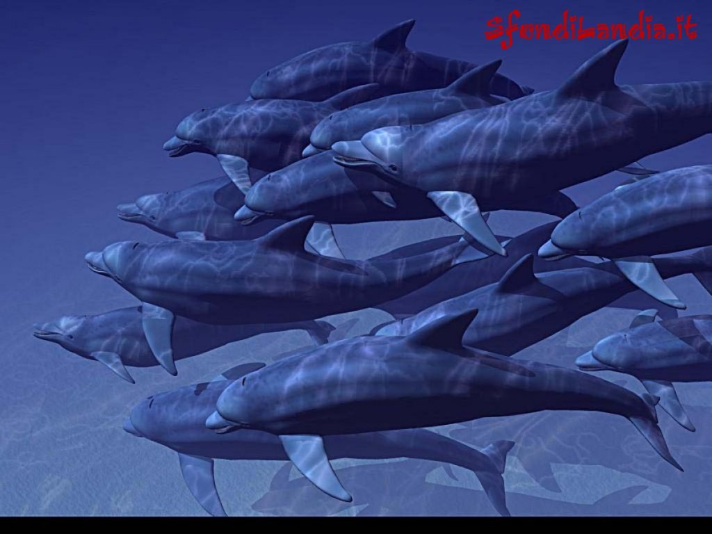 Delfini