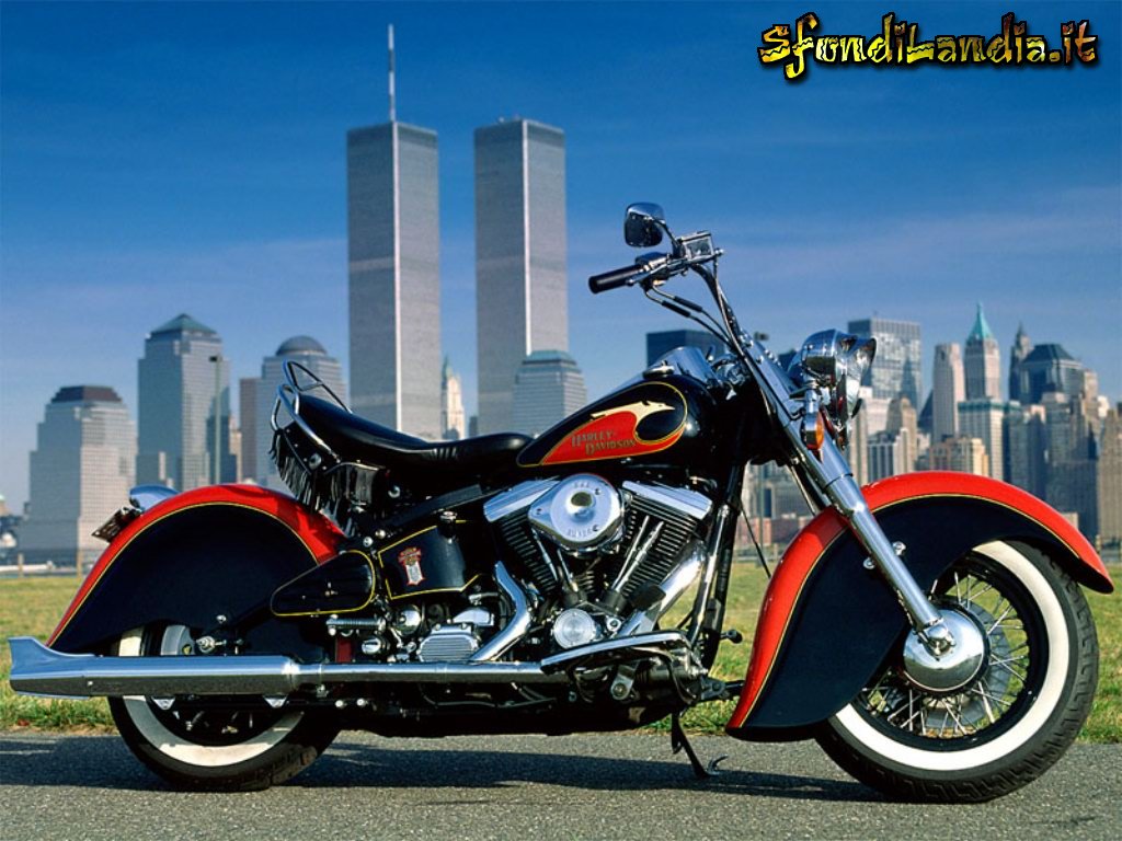 Harley On The Road