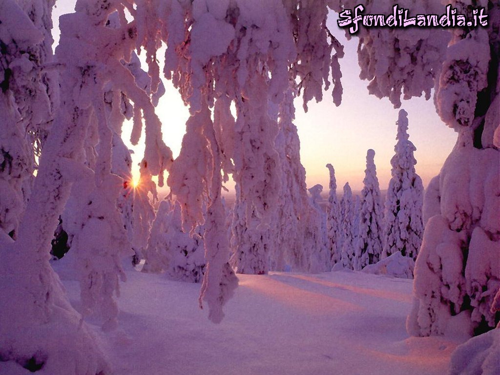 Neve al tramonto