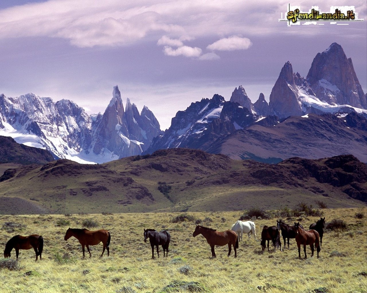 Ande della Patagonia