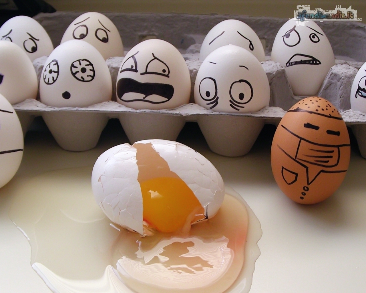 Animated Eggs