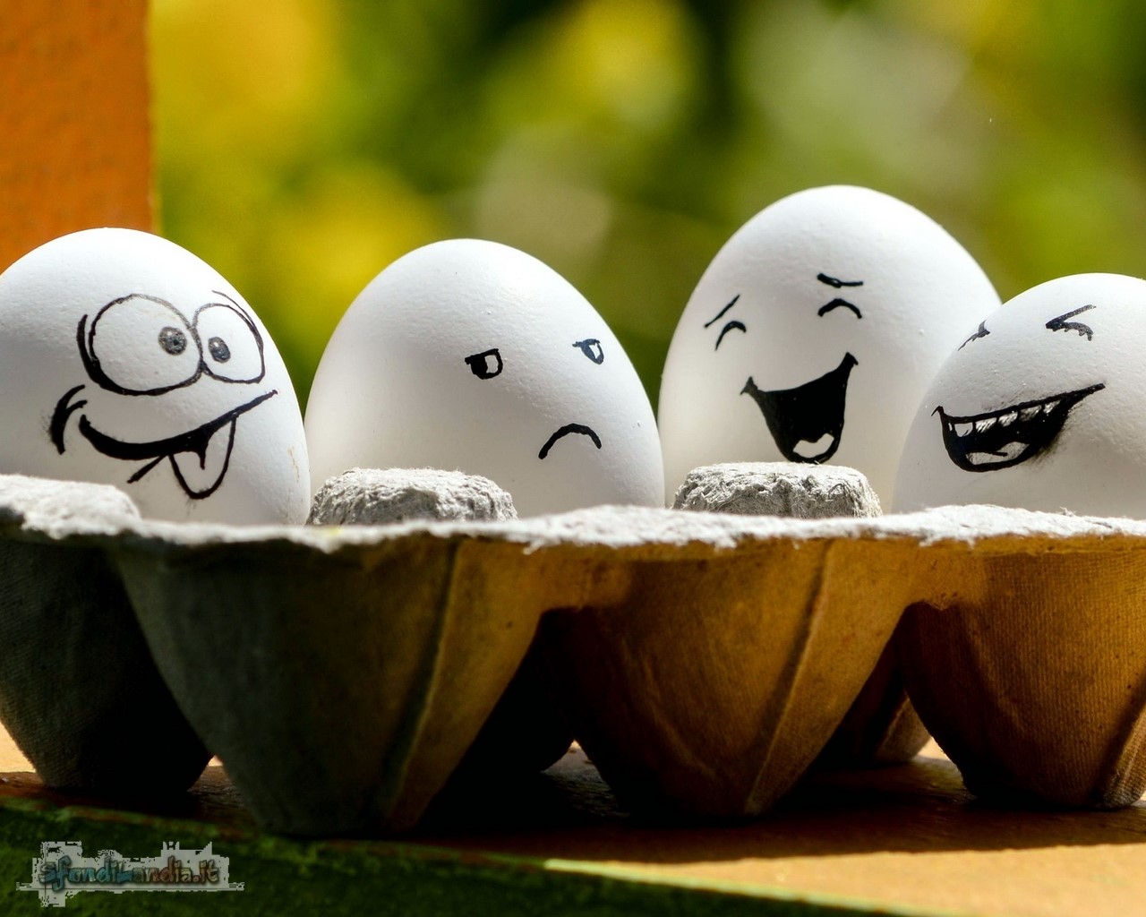 Laughing Eggs