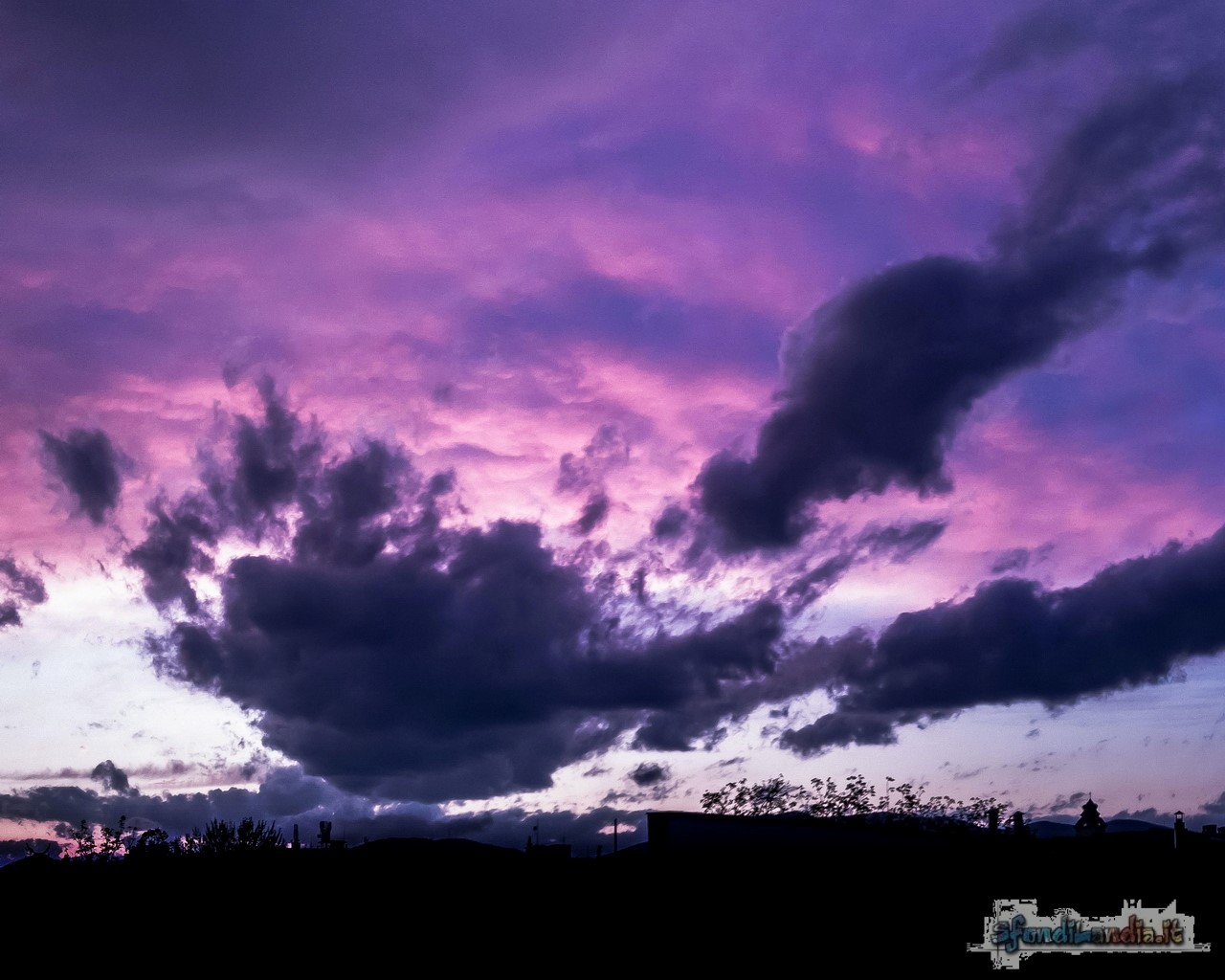 Purple At Sunset