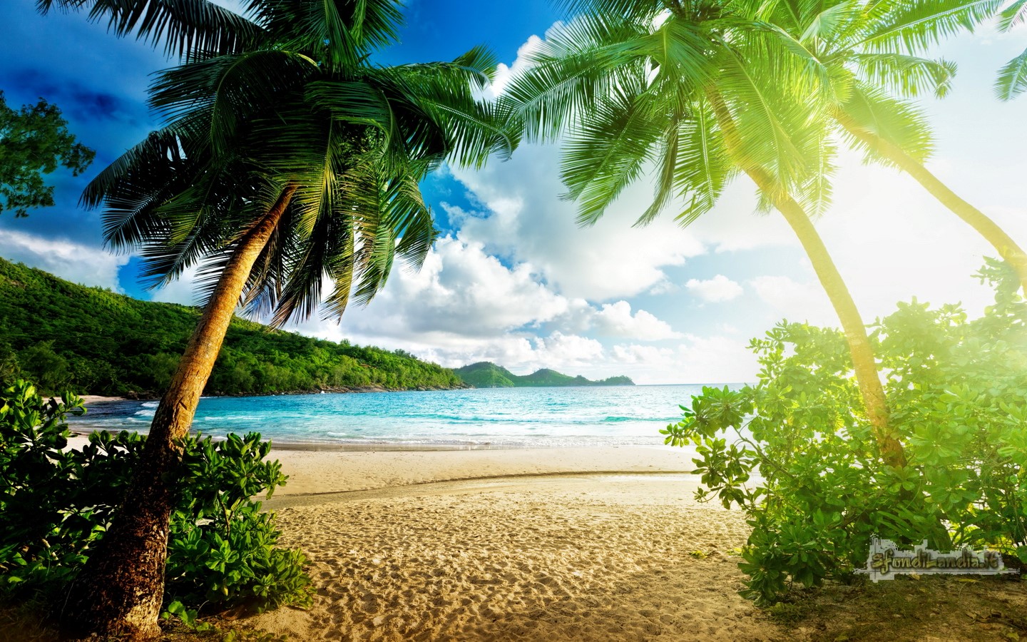 Exotic Palm Beach