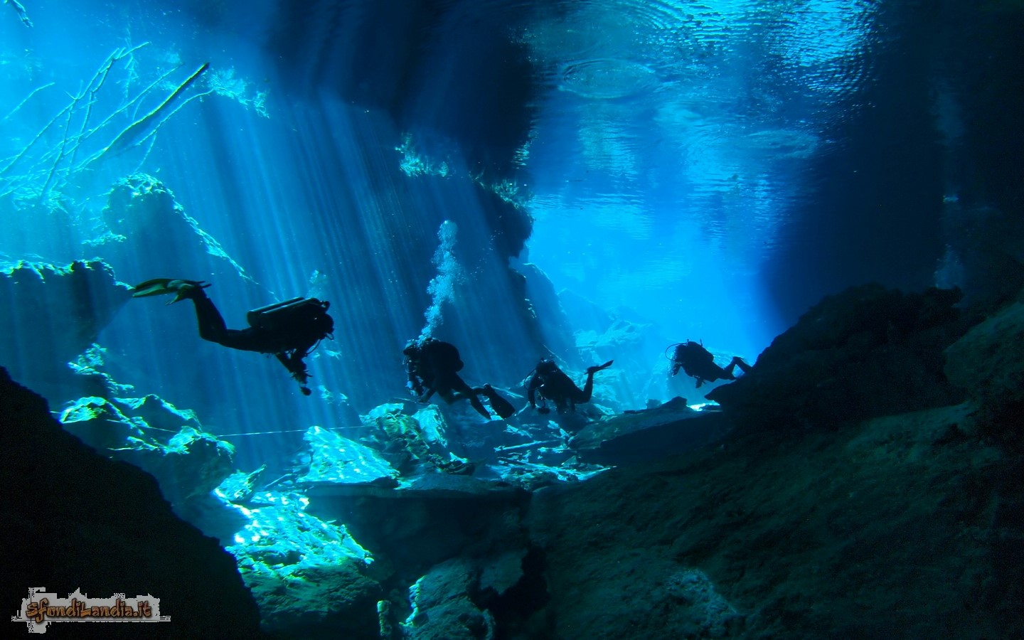 Yucatan Underwater