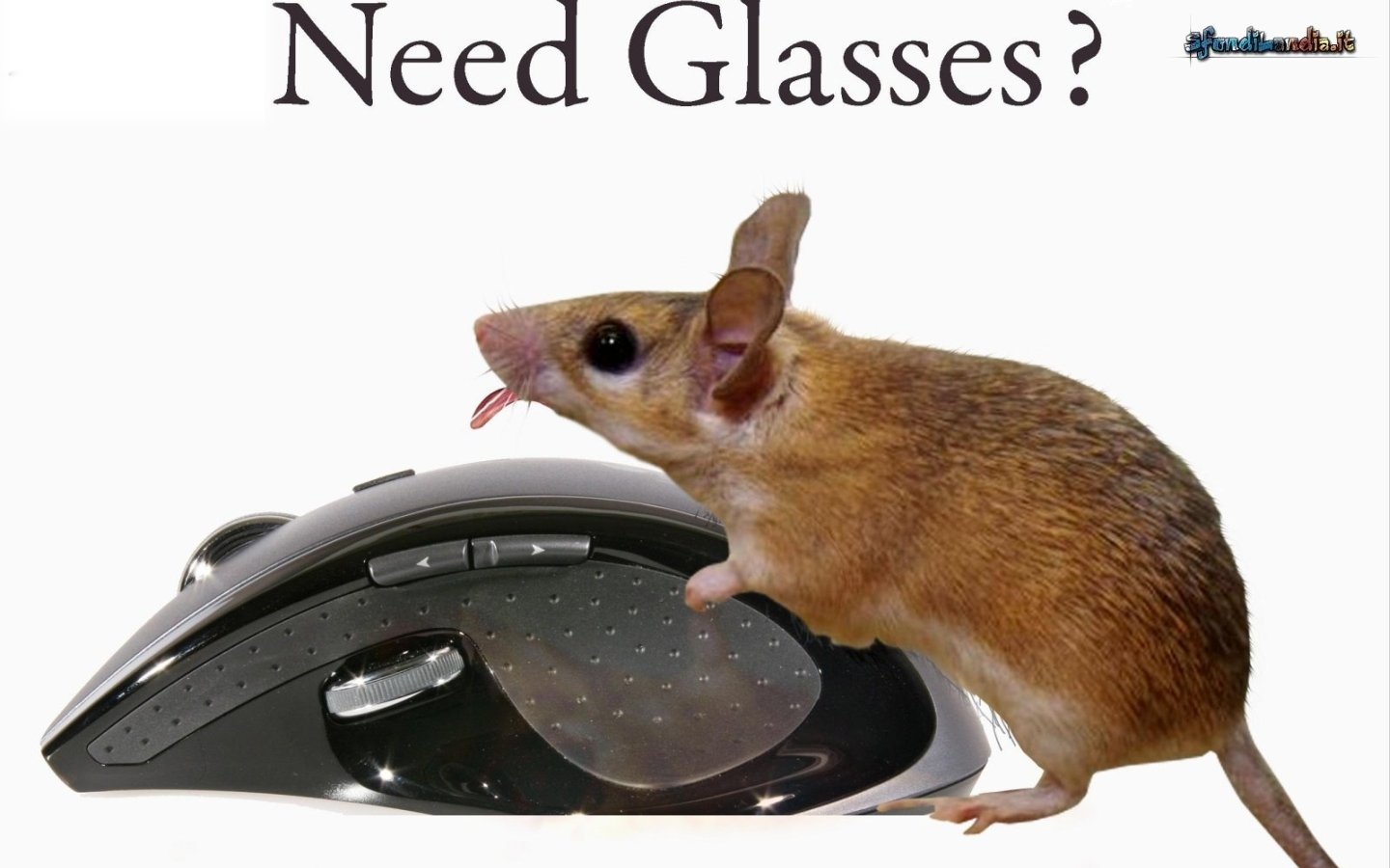 Need Glasses