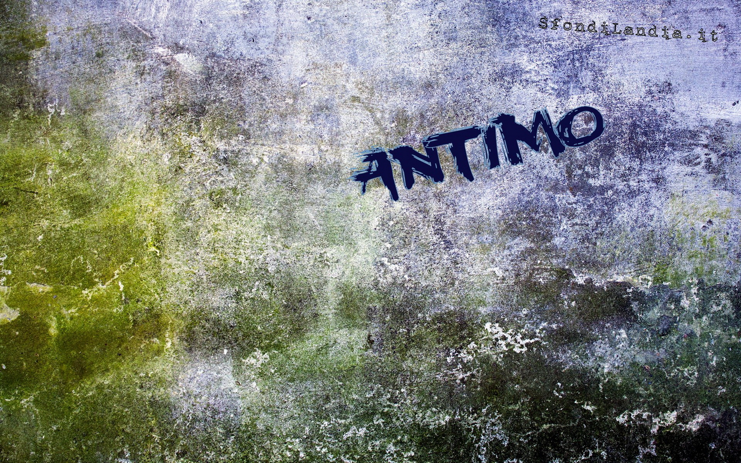 Antimo