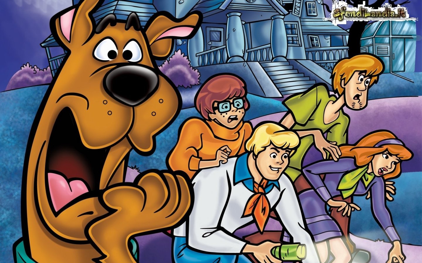 Scooby Team