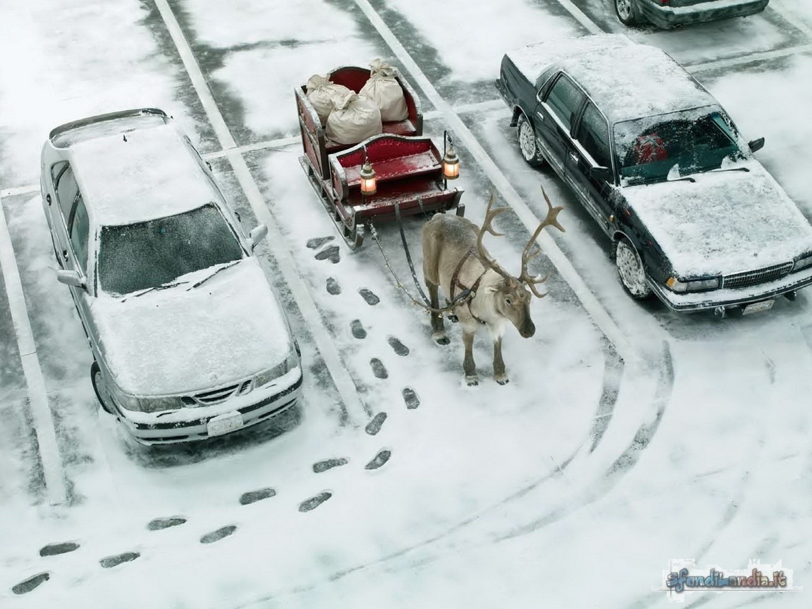 Santa Claus Parking