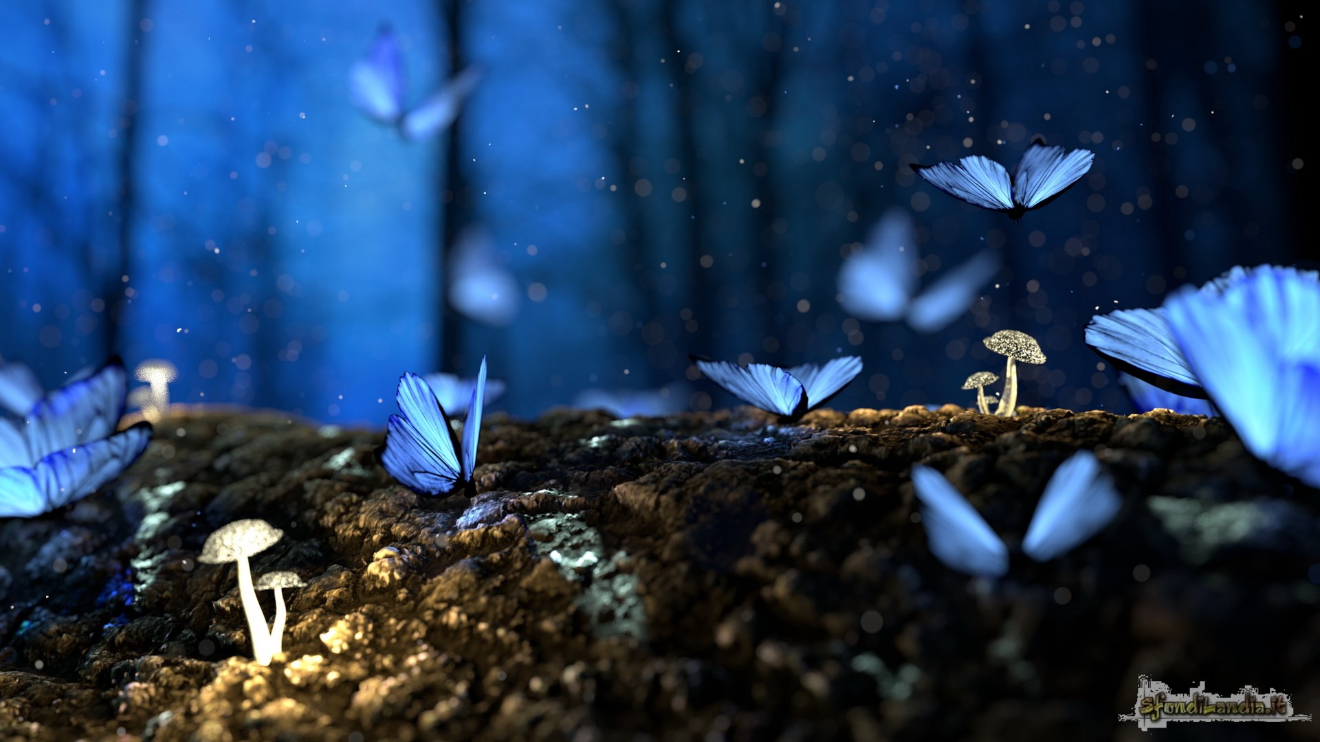 Butterfly And Mushrooms