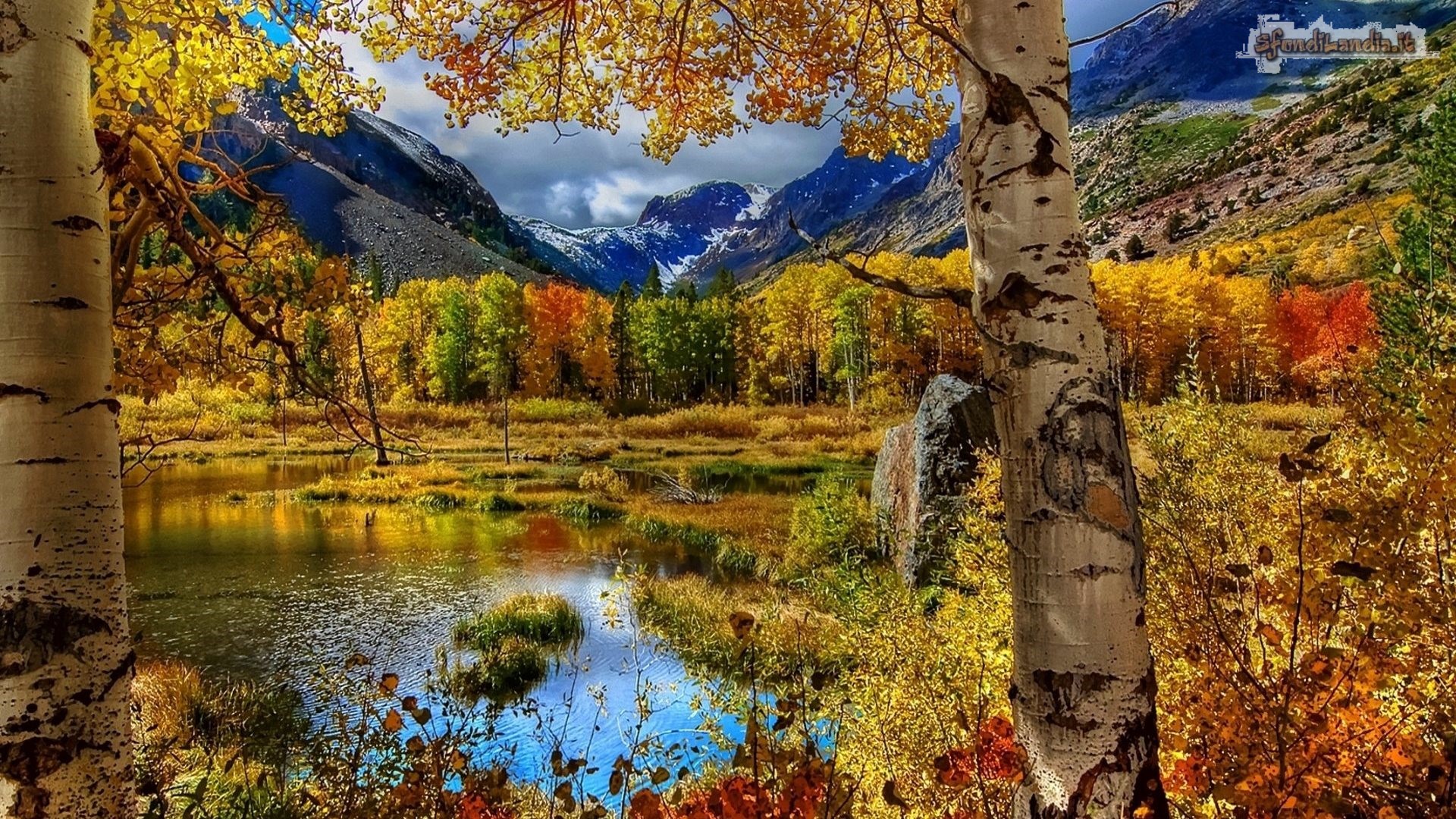Sfondo gratis di colori autunnali per for Foto autunno per desktop gratis
