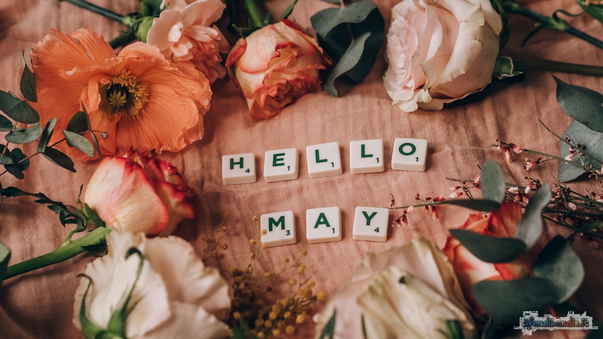 Hello May