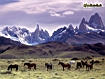 Ande della Patagonia