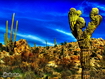 Azalai Baja Cactus