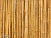 Bamboo secco