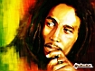 Bob Marley Face