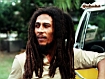 King Of Reggae