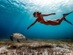 Sfondo: Cancun Underwater