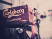 Carlsberg Vintage