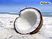 Cocco in spiaggia