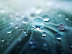 Sfondo: Water Drops