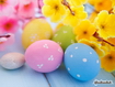 Sfondo: Easter Colored Eggs