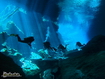 Sfondo: Yucatan Underwater