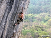 Sfondo: Climbing