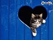 Gatto nel cuore