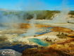 Sfondo: Norris Geyser Basin