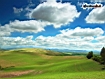 Sfondo: Green Hills