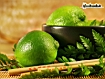 Green Lemon