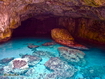 Sfondo: Grotta del cammello