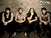 Sfondo: Kings Of Leon