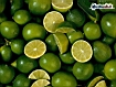 Limes