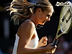 Sfondo: Maria Sharapova