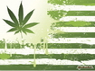 Marijuana Flag