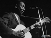 Muddy Waters playing