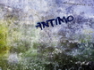 Antimo