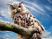 Sfondo: Owl On Tree