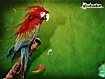 Painting Parrot