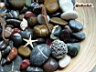 Sfondo: Pebbles And Shells