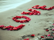 Petals On Sand