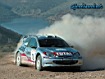 Peugeot 206 wrc