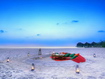 Picnic On Beach