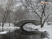 Sfondo: Central Park Bridge