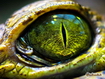 Sfondo: Reptile Eye