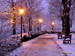 Snowy Driveway